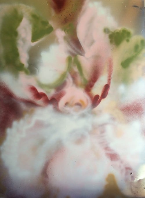 A large orchid/iris hybrid in soft pinks and mossy greens, spray painted by artist Cynthia McLoughlin.