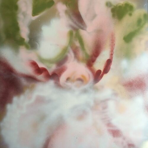 A large orchid/iris hybrid in soft pinks and mossy greens, spray painted by artist Cynthia McLoughlin.