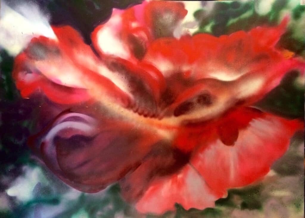 Large, red, heirloom rose, opening towards the sun. Painted with acrylic spray paints by Cynthia McLoughlin
