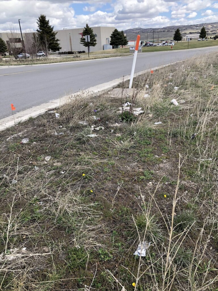 Garbage littered beside the road in the grass before the clean up.