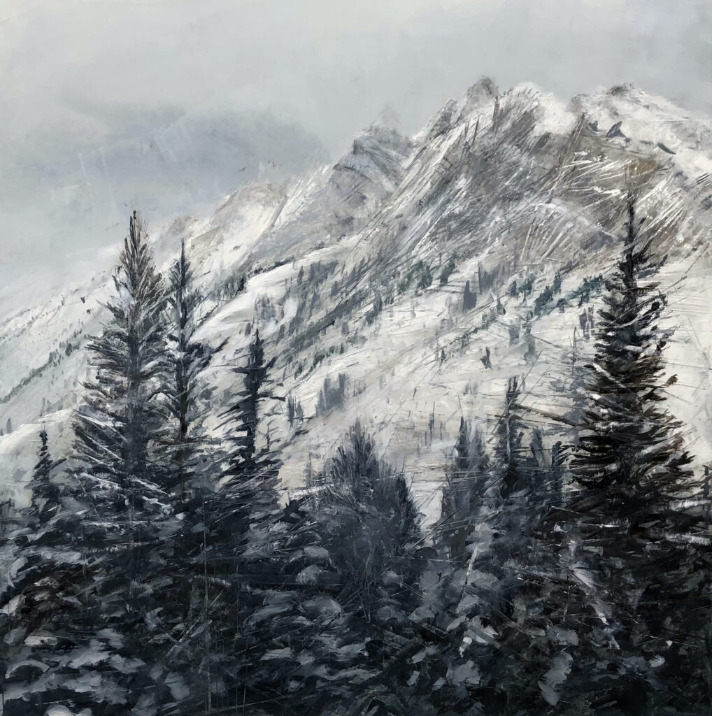 A wood of tall evergreens stands sentry at the base of Mount Superior at the Snowbird Resort on the Wasatch Front in Utah.